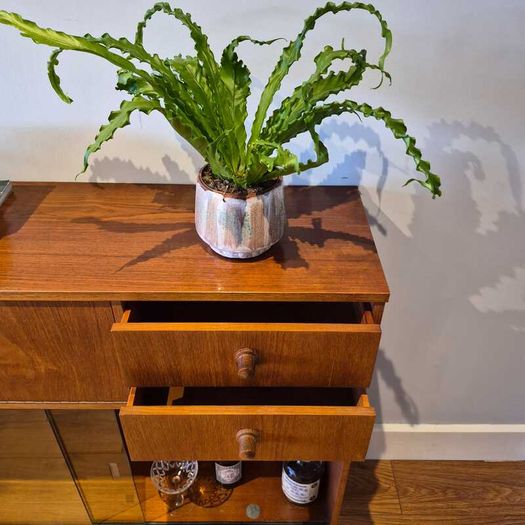 Mid-Century Drinks Cabinet/Bookcase by Avalon