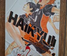 Haikyu Vol. 1