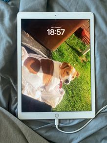 Apple Ipad Pro 12.9inch