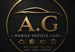Mobile Car Diagnostics/Pre-Purchase Inspection