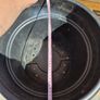 garden pot Image 3