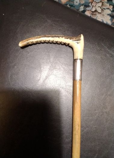 Horse   Cane