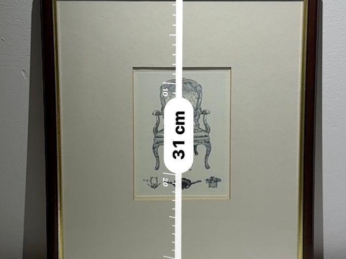 Pair of Vintage Framed Marina Romagnoli Chair Prints