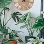 Classic Vintage-inspired Roman Numerals Round Wall Clock Image 2