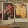 Beautiful Orchids. By Peter Mckenzie Black. First Edition Large Volume Hardback With Dustjacket In Fair Condition. See Photos For Same Image 10