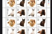 2014 Ireland Cats (Maine Coon, Burmese, British Shortair &amp; Persian) Commemorative Stamps Sheetlet Plate 1A1A1A1A Mint Never Hinged (MNH)