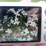Fujifilm FinePix JX200 12.0MP Digital Camera Image 4
