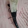 Viking Drinking Horn Image 6