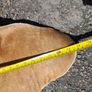 Large Cow Hide Image 4