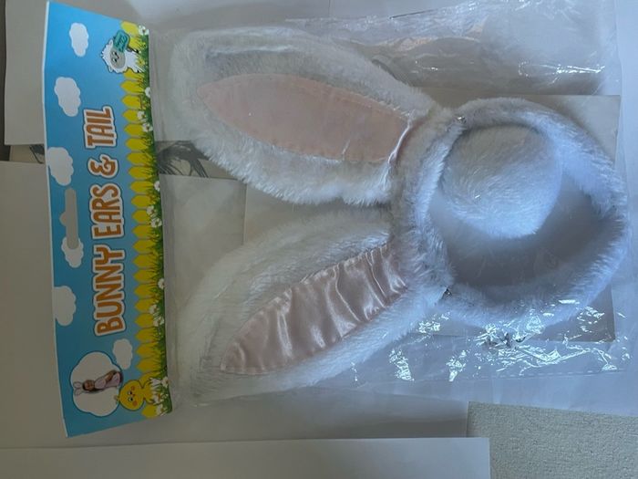 Easter Bunny Egg Hunt kit - Art and crafts package