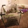30l aquarium Image 6