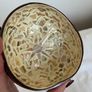Pretty Decorative Bowl Image 5