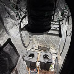 Remote controlled full indoor growing kit with DWC & GSS system