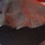 Irish Bog Oak Sculpture Image 3
