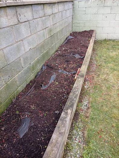 rubbish removal / garden clearance