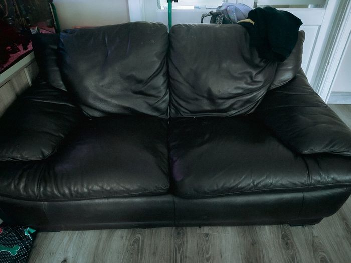 Leather Sofas