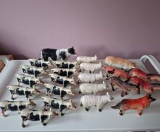 Farm Animals