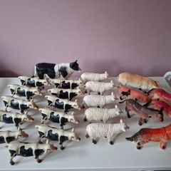 Farm Animals