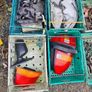 Clearance ! Honda Civic Ek 97-01 Parts 1.4 1.6 @ OCG Image 5
