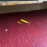 Vintage oak roll top desk Image 4
