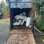 Vintage horse box, towing ok, needs new floor Image 5