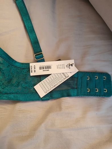 Ann summers the divine plunge teal 34D