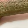 Jurassic Park Kenner T Rex 1993/1997 and Velociraptor bundle Image 3