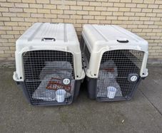 2 dog crates