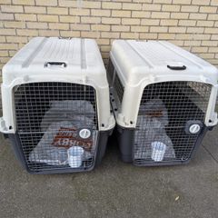 2 dog crates