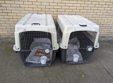 2 dog crates