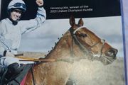 2022, 4 cheltenham gold cup programmes