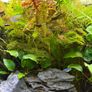 Juwel Rio 180L Fish Tank & Cabinet Full Set, 2 external filters, Co2 Image 10