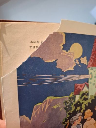 The Secret of Spiggy Holes by Enid Blyton