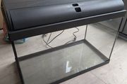 fish tank 60L (large)