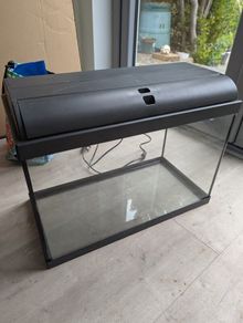 fish tank 60L (large)