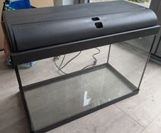 fish tank 60L (large)