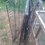 dog cage Image 4