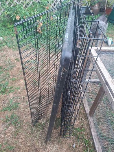 dog cage