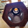 cat play tunnel Image 2