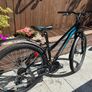 Mountain Bike Image 3