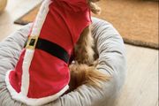 Next Dog Coat