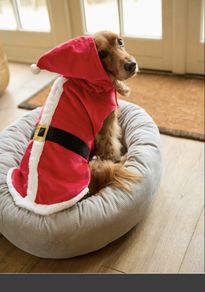 Dog Coat