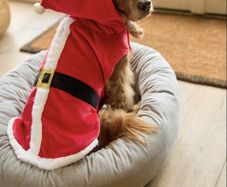 Next Dog Coat