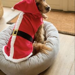 Dog Santa Costume