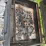 bbq Image 5