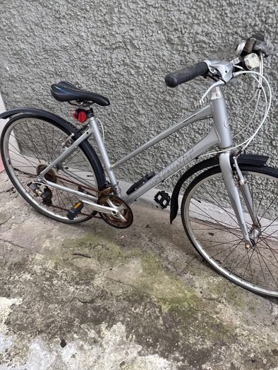ladies bike