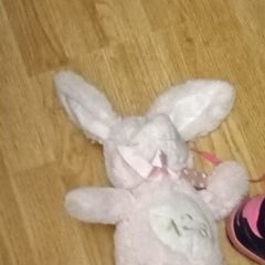 Teddy bear