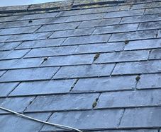 Natural slates