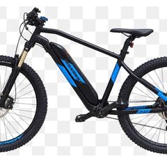 Rock Rider electric bike