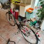 kellys city bike - avenue Image 7